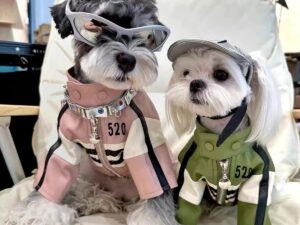 Dog Autumnwinter Clothing Motorcycle Jacket Coat