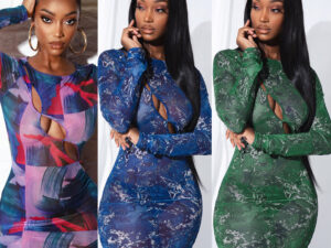 Mesh See-through Long Sleeve Dress