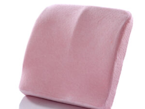Office seat pillow