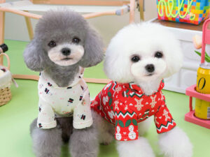 Dog Clothes Christmas Sweatshirt Clothes
