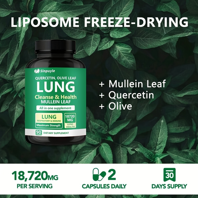 Lung Cleanse Respiratory Support Supplement Mullein Leaf Quercetin 90 Capsules - Image 6