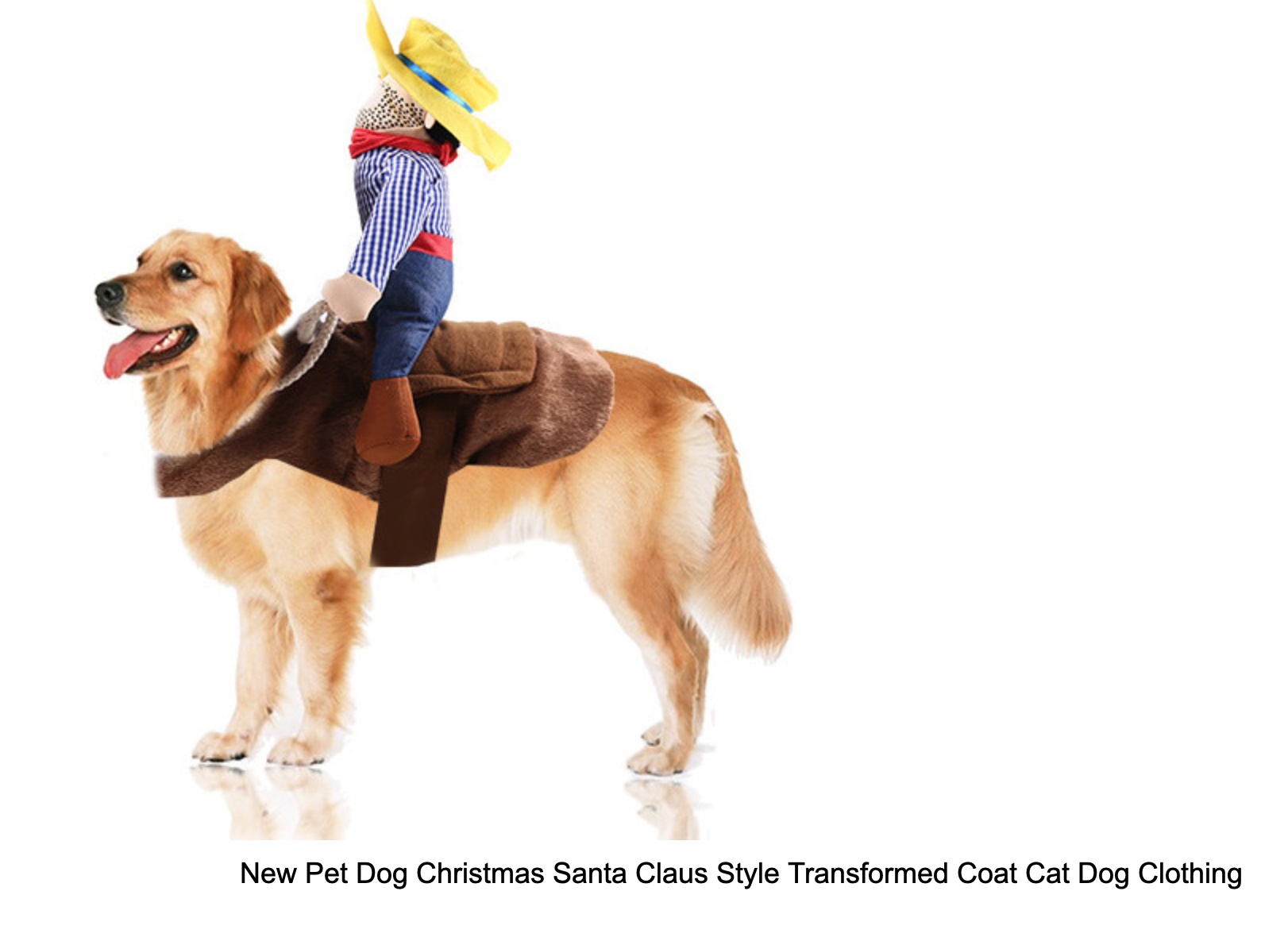 Riding clothes pet clothes - Image 3