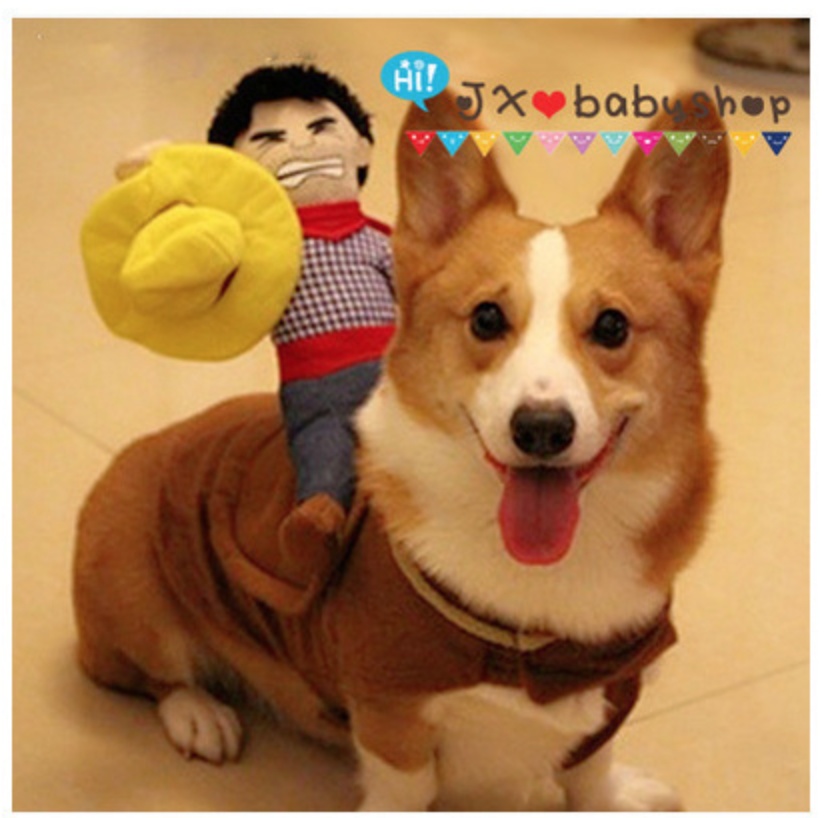 Riding clothes pet clothes - Image 2