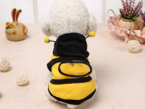 Clothes teddy dog clothes